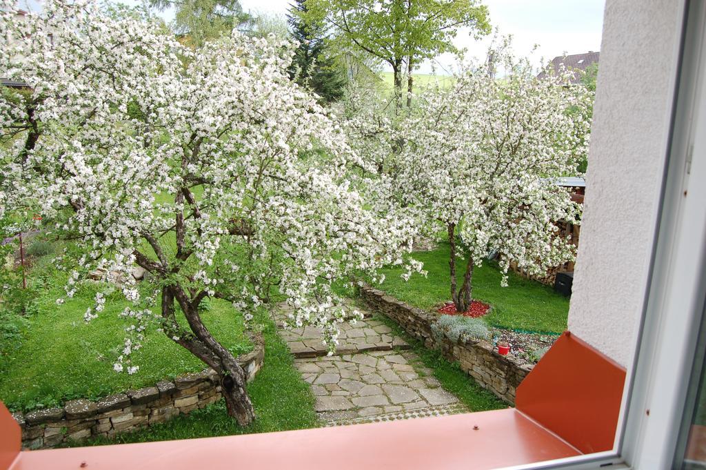 Penzión Belvia Nová Lesná Esterno foto
